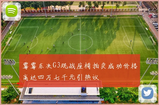 霉霉东决G3观战座椅拍卖成功价格高达四万七千元引热议