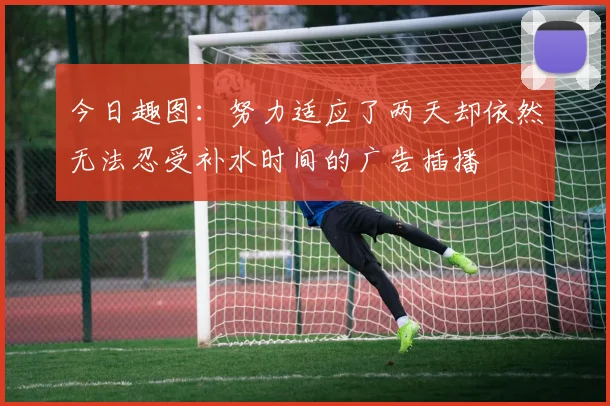 今日趣图：努力适应了两天却依然无法忍受补水时间的广告插播