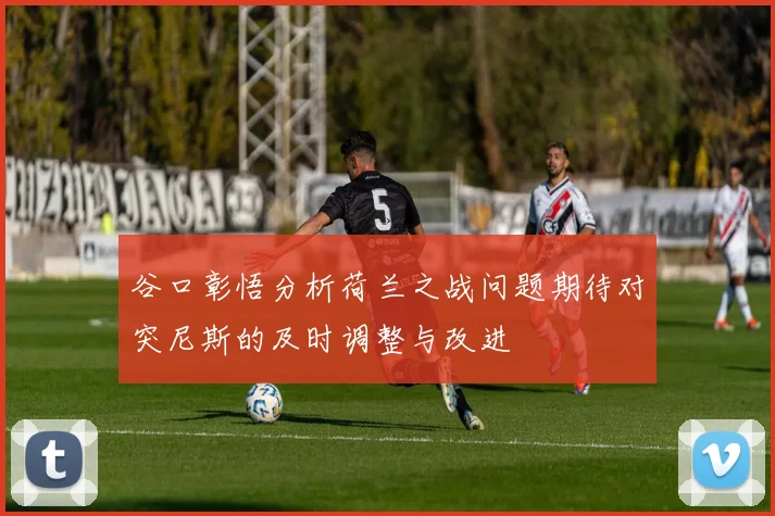谷口彰悟分析荷兰之战问题期待对突尼斯的及时调整与改进